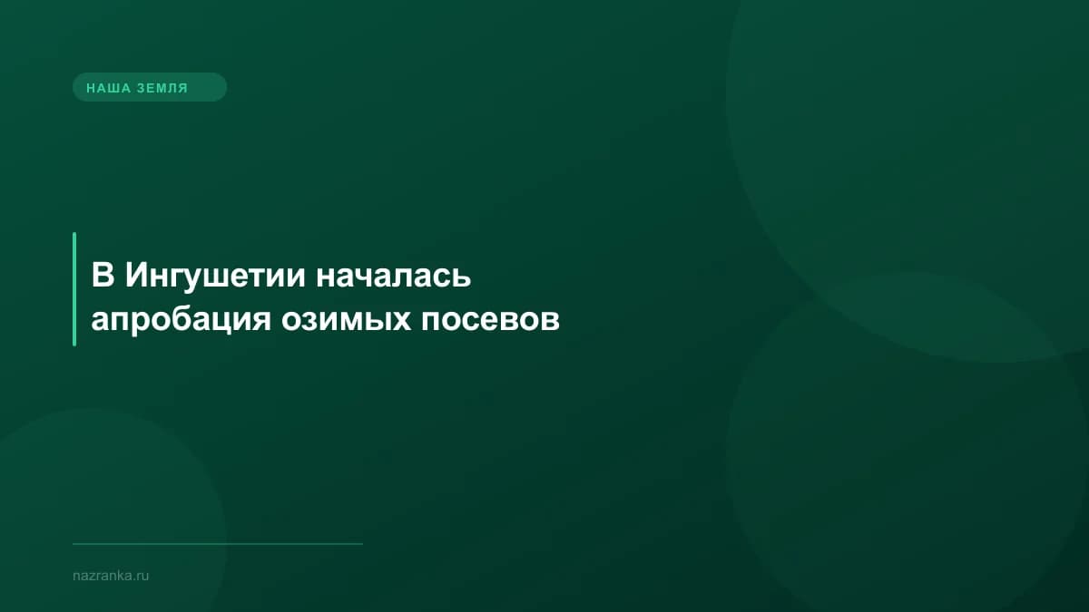 В Ингушетии началась апробация озимых посевов