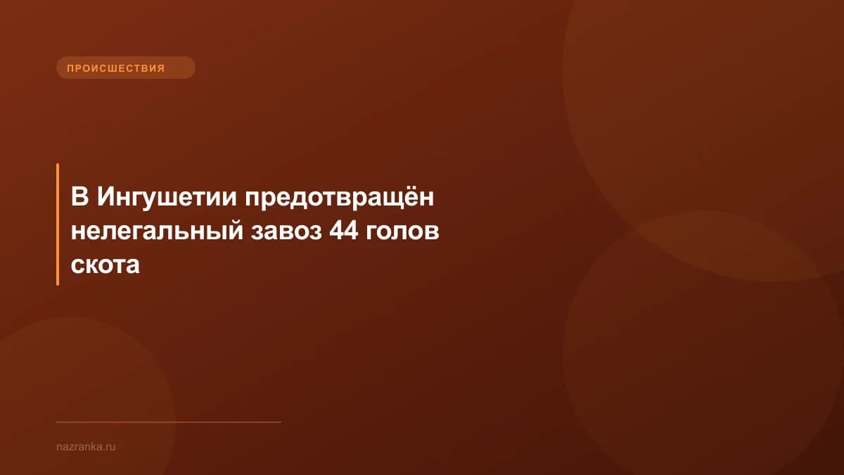 В Ингушетии предотвращён нелегальный завоз 44 голов скота