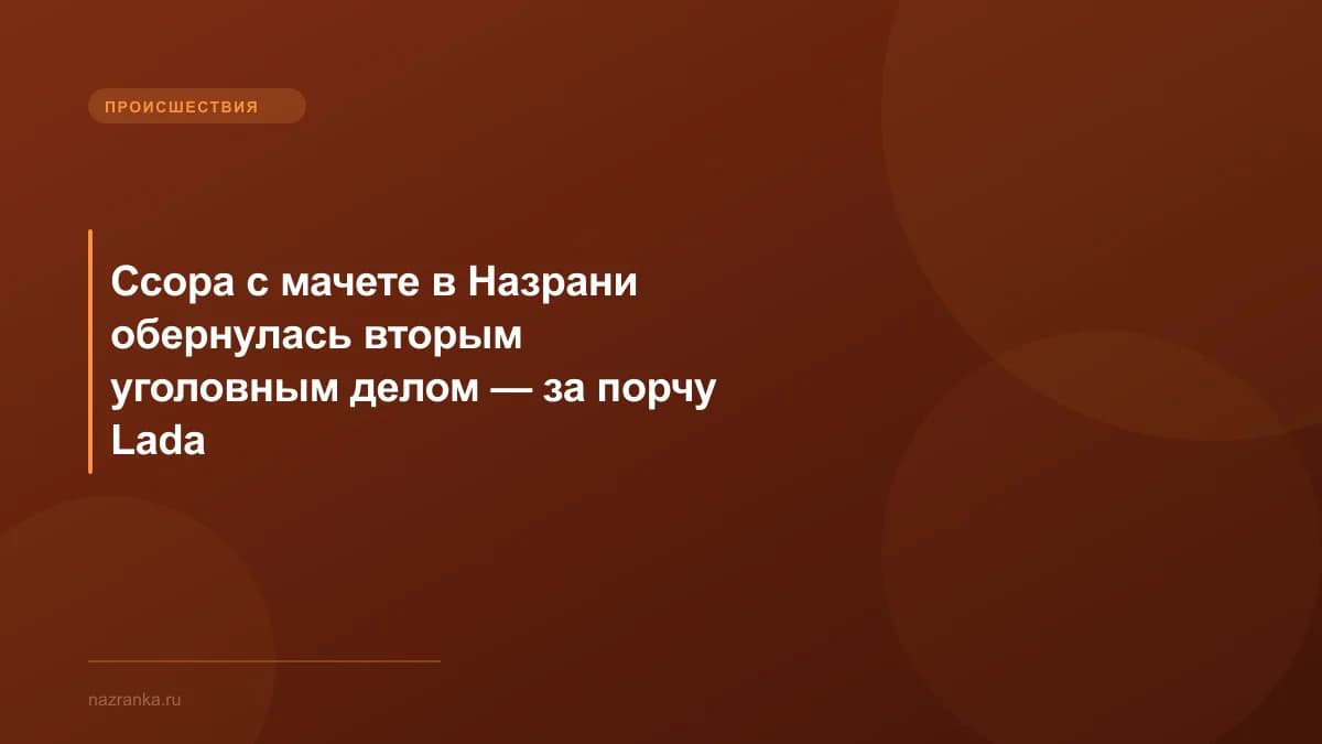Ссора с мачете в Назрани обернулась вторым уголовным делом — за порчу Lada