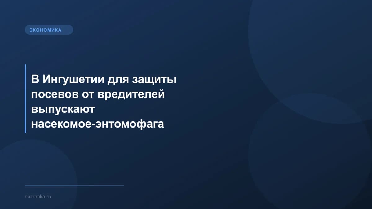 В Ингушетии для защиты посевов от вредителей выпускают насекомое-энтомофага габробракона