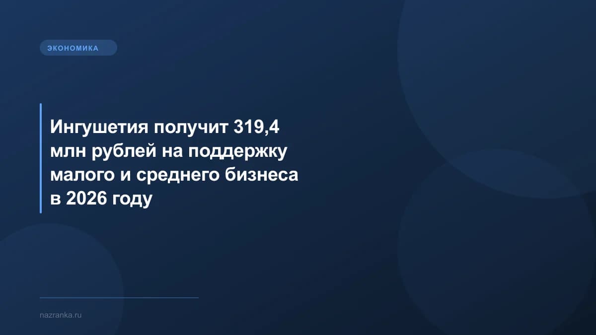 Ингушетия получит 319,4 млн рублей на поддержку малого и среднего бизнеса в 2026 году