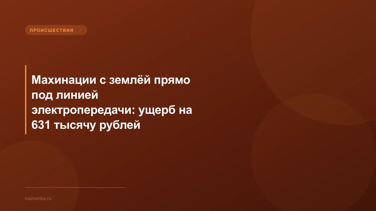 Махинации с землёй прямо под линией электропередачи: ущерб на 631 тысячу рублей