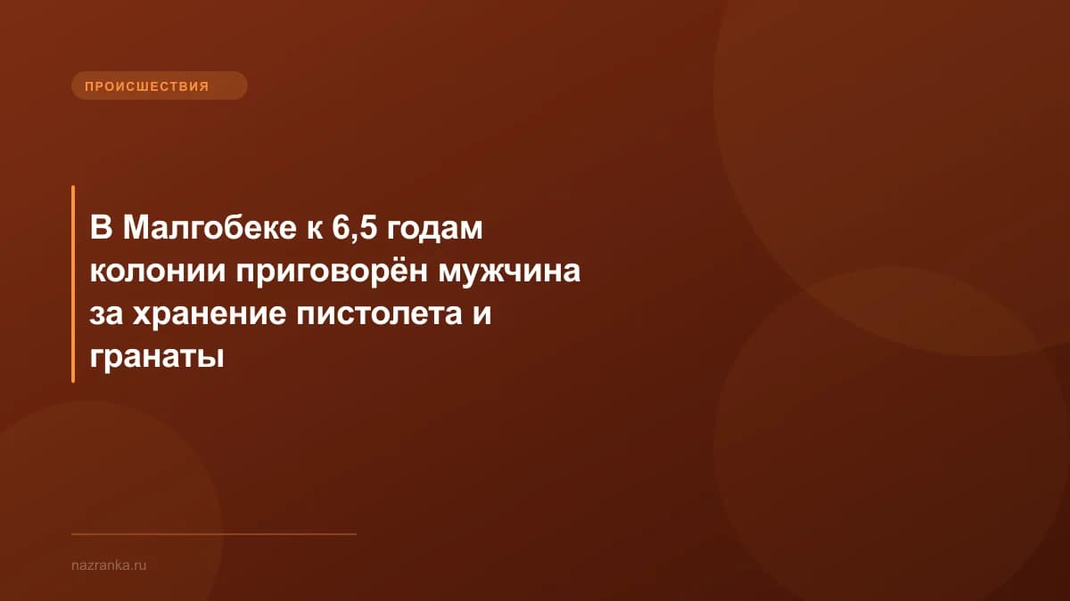 В Малгобеке к 6,5 годам колонии приговорён мужчина за хранение пистолета и гранаты