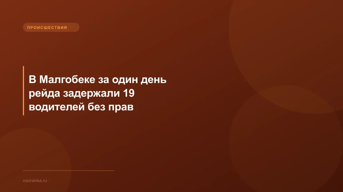 В Малгобеке за один день рейда задержали 19 водителей без прав