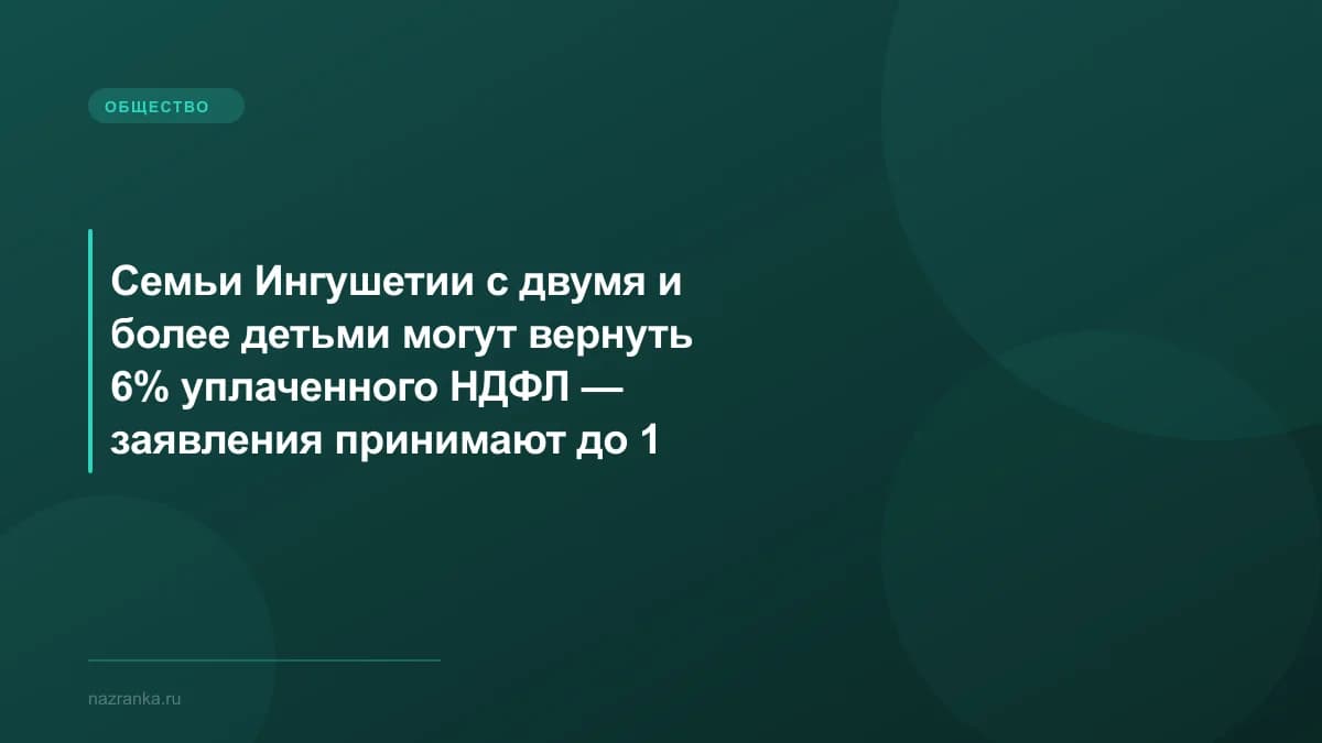 Семьи Ингушетии с двумя и более детьми могут вернуть 6% уплаченного НДФЛ — заявления принимают до 1 октября