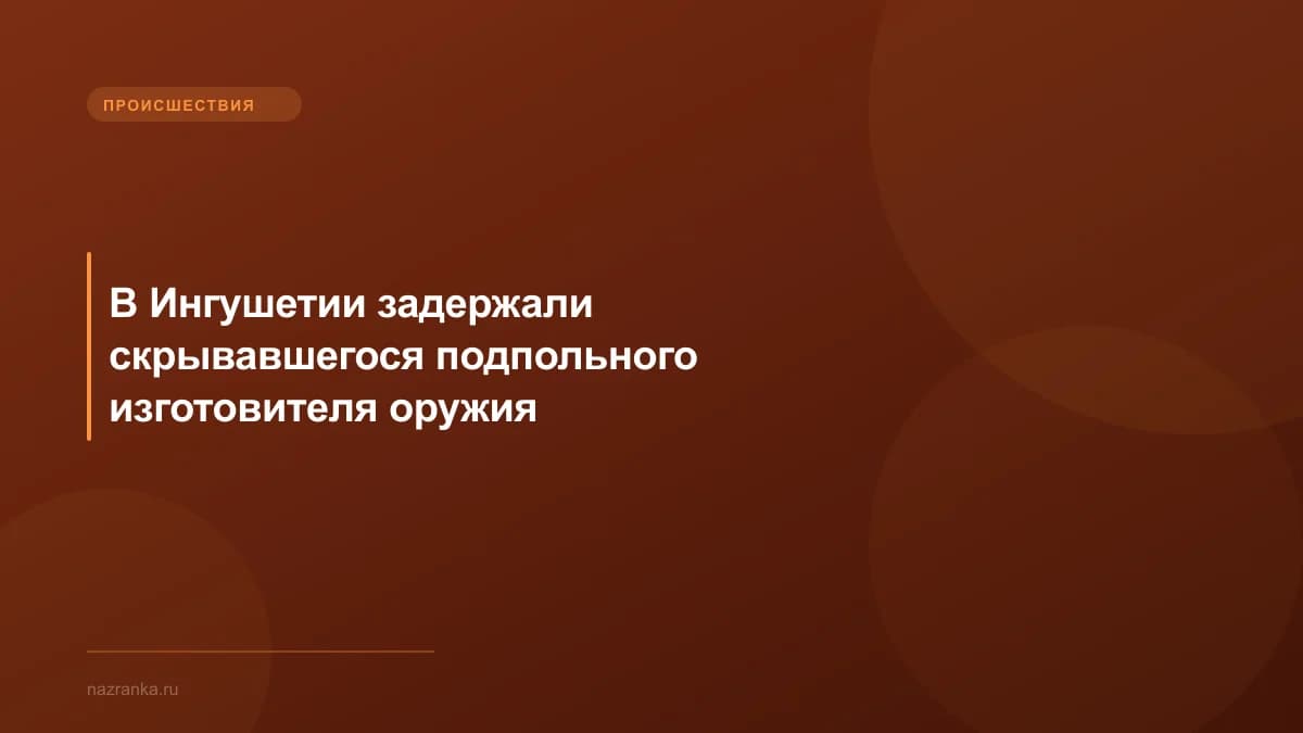 В Ингушетии задержали скрывавшегося подпольного изготовителя оружия