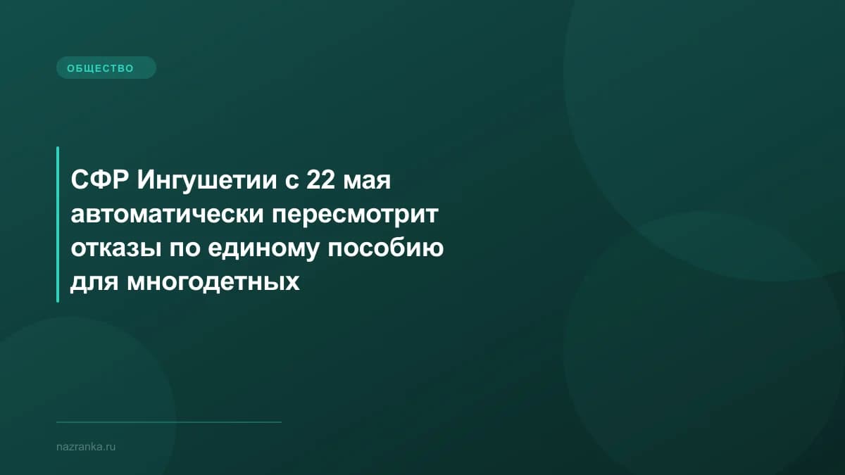 СФР Ингушетии с 22 мая автоматически пересмотрит отказы по единому пособию для многодетных