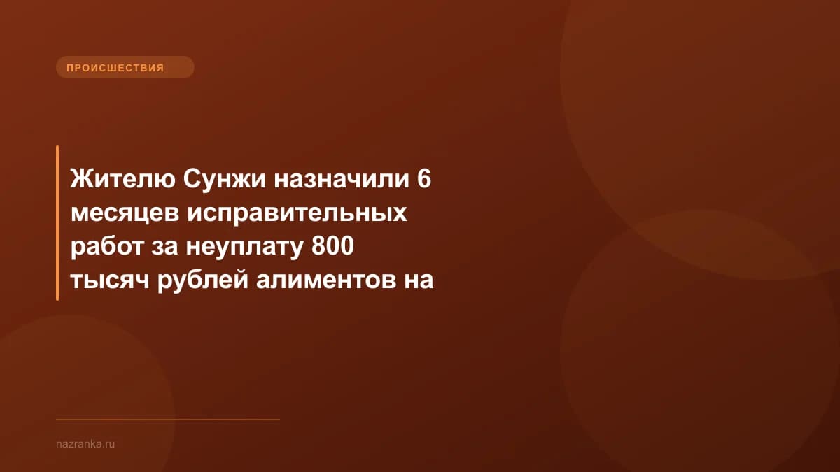 Жителю Сунжи назначили 6 месяцев исправительных работ за неуплату 800 тысяч рублей алиментов на семерых детей