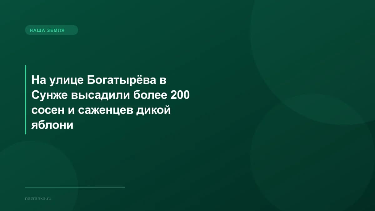 На улице Богатырёва в Сунже высадили более 200 сосен и саженцев дикой яблони