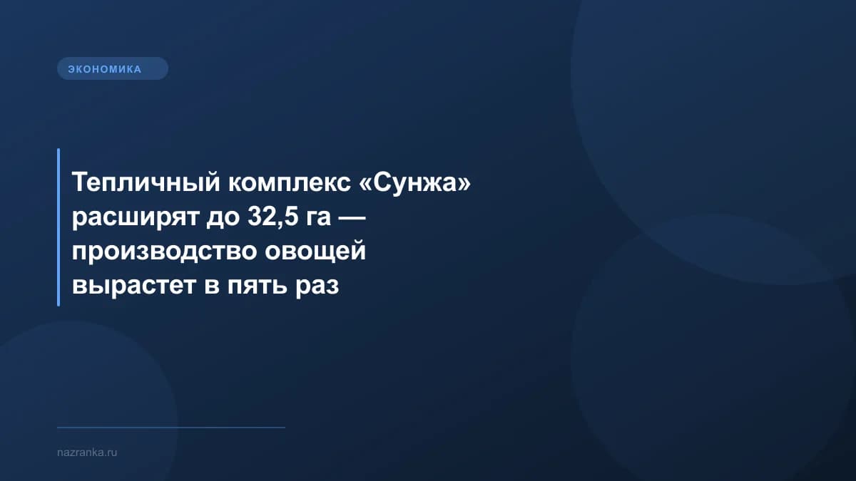 Тепличный комплекс «Сунжа» расширят до 32,5 га — производство овощей вырастет в пять раз