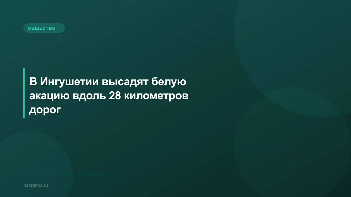 В Ингушетии высадят белую акацию вдоль 28 километров дорог