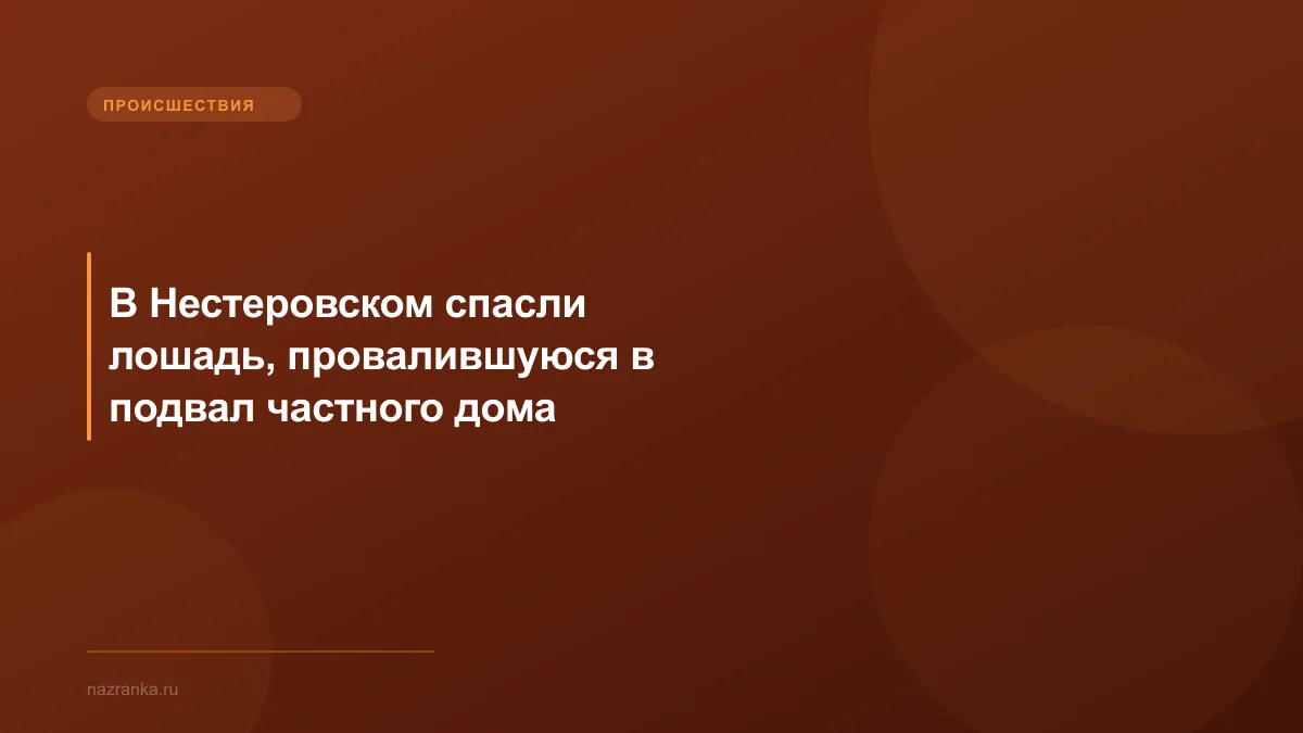 В Нестеровском спасли лошадь, провалившуюся в подвал частного дома