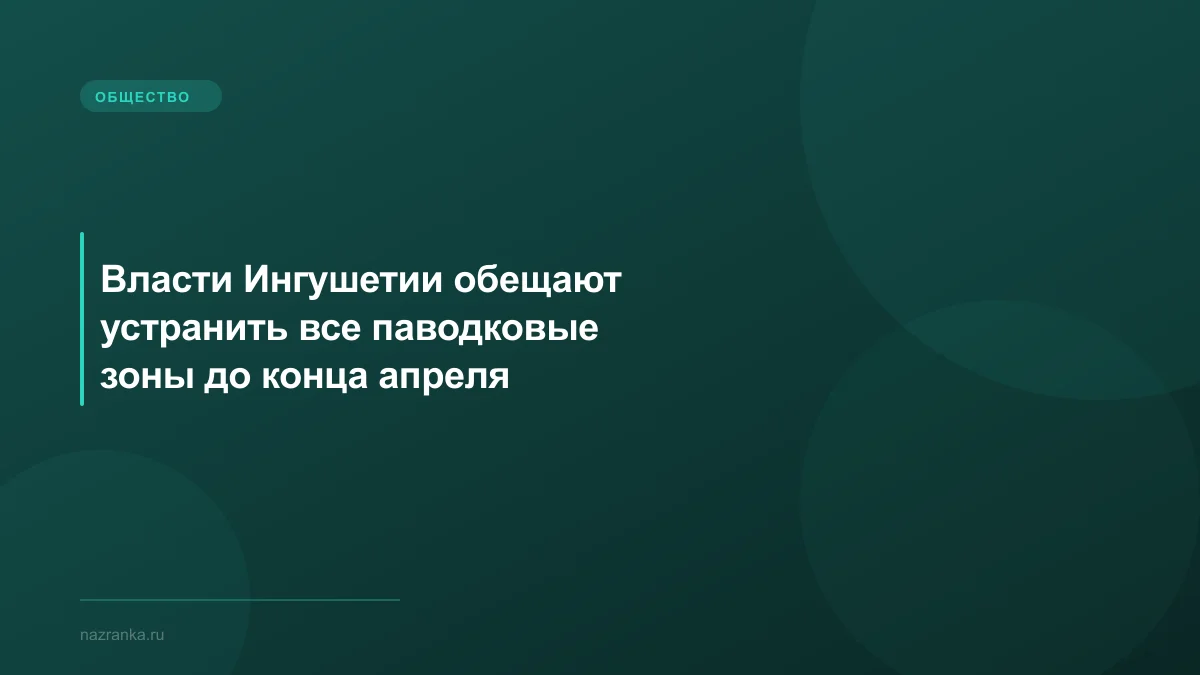 Власти Ингушетии обещают устранить все паводковые зоны до конца апреля